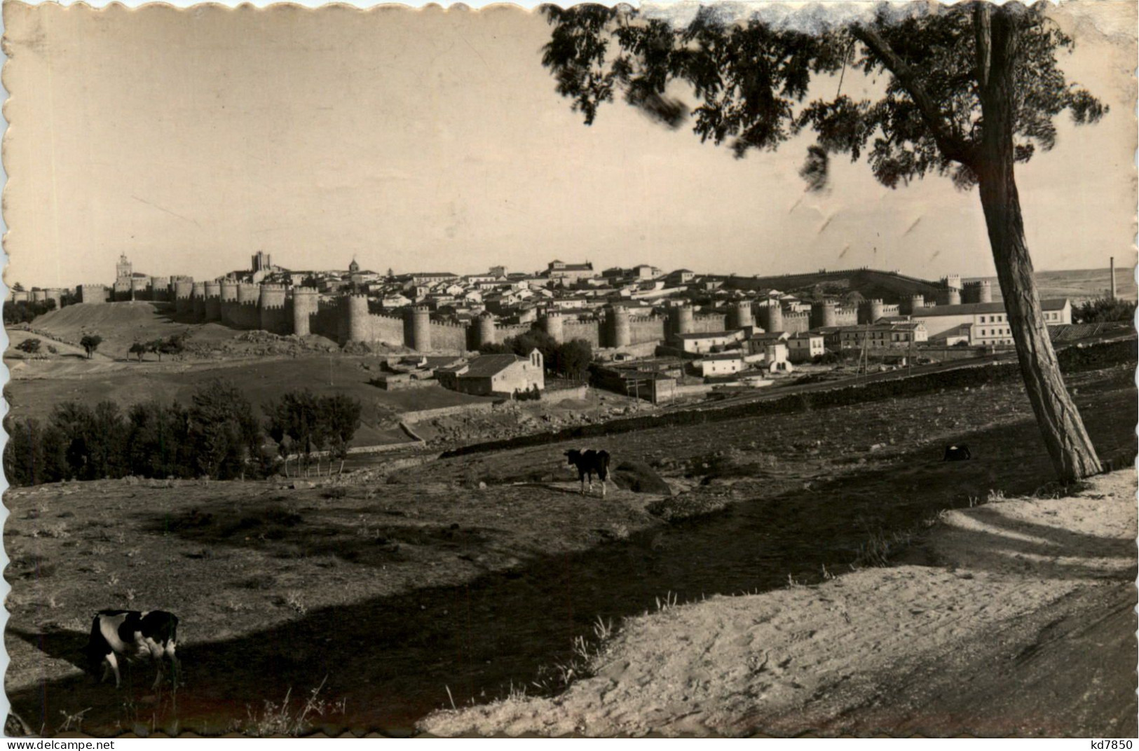 Avila - Sonstige & Ohne Zuordnung