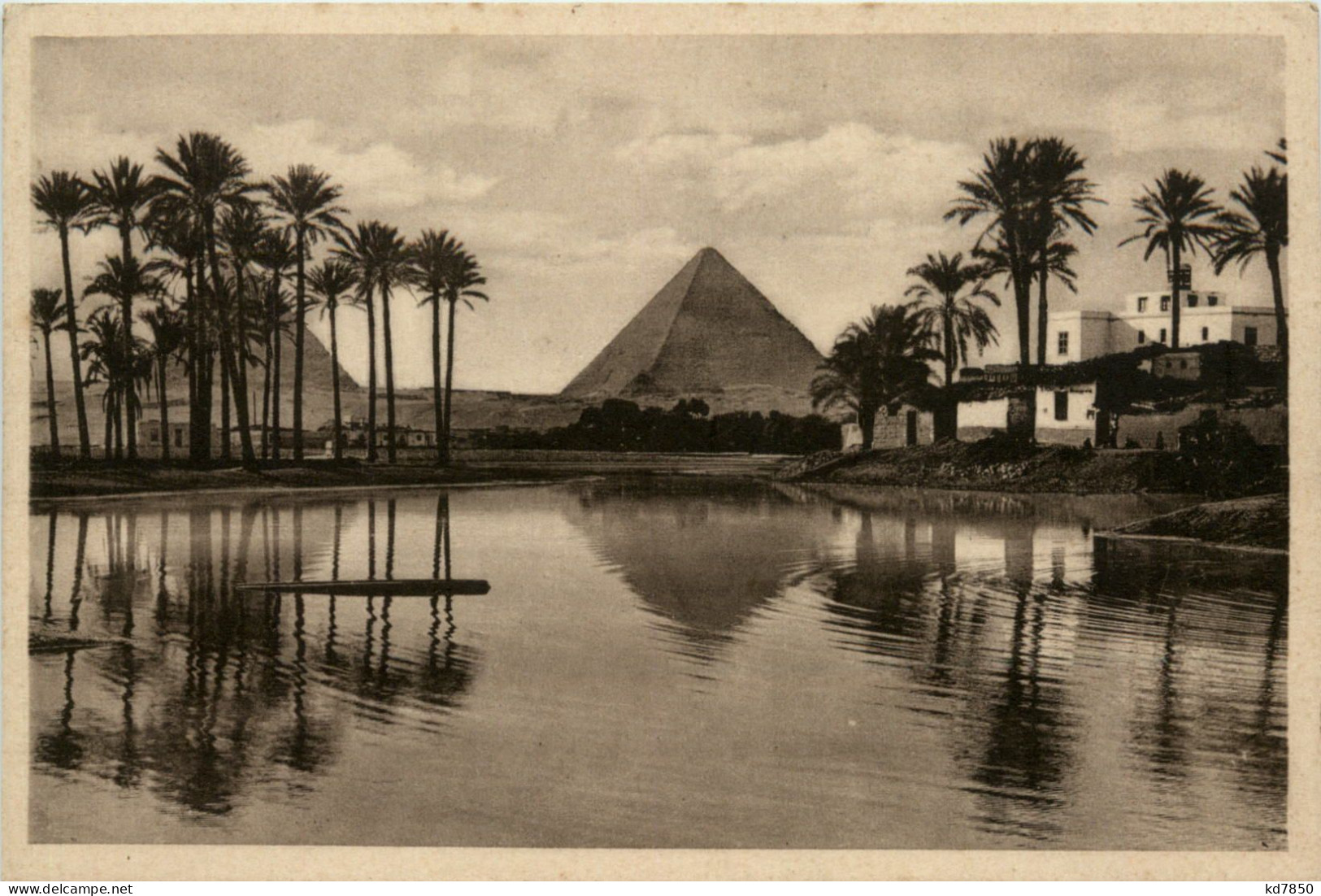 Cairo - Piramids Of Gizeh - Cairo