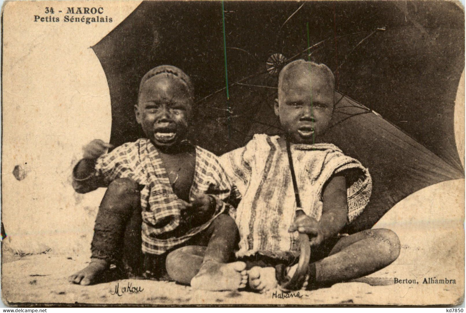 Maroc - Petits Senegalais - Other & Unclassified