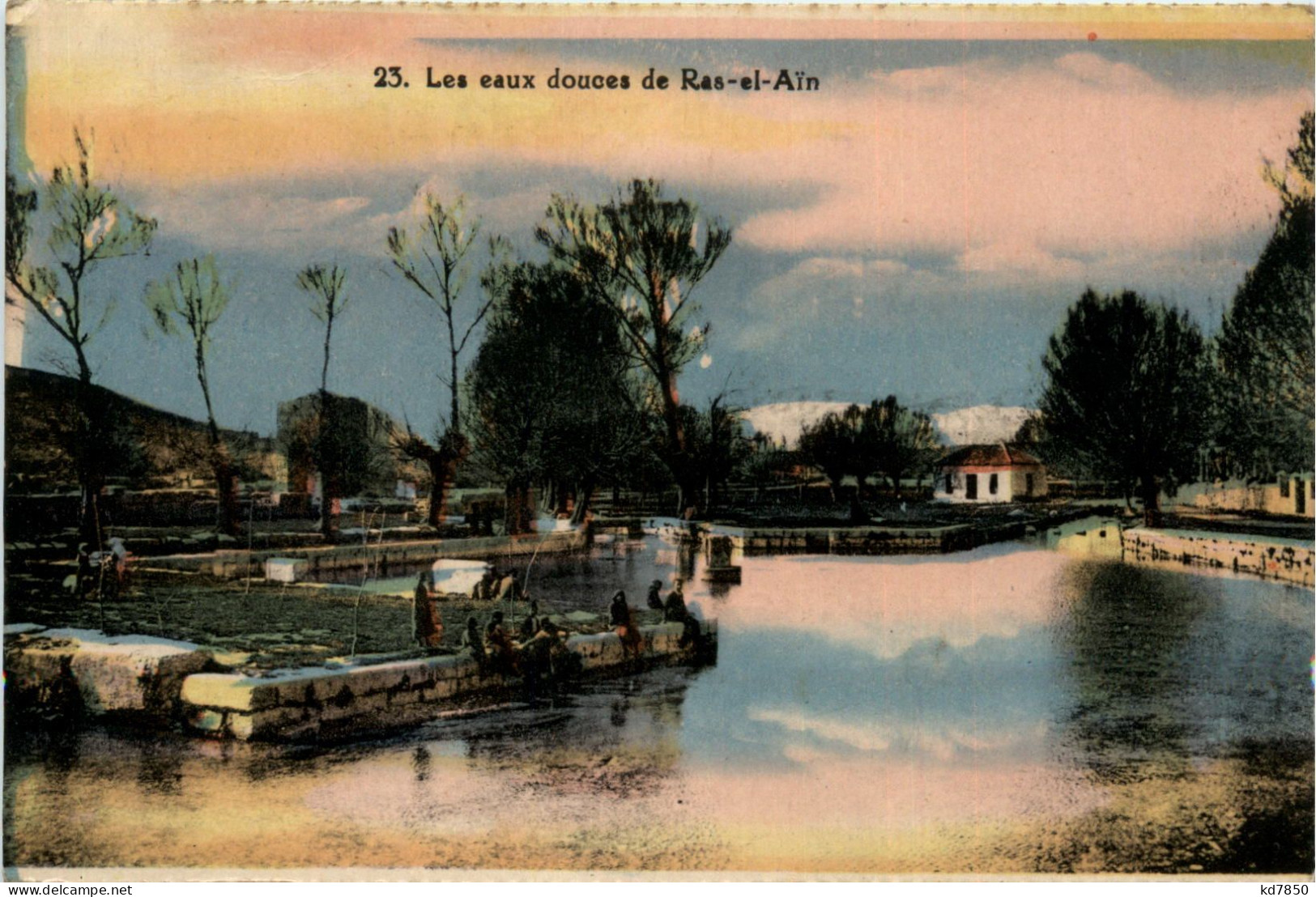 Les Eaux Douces De Ras El Ain - Liban