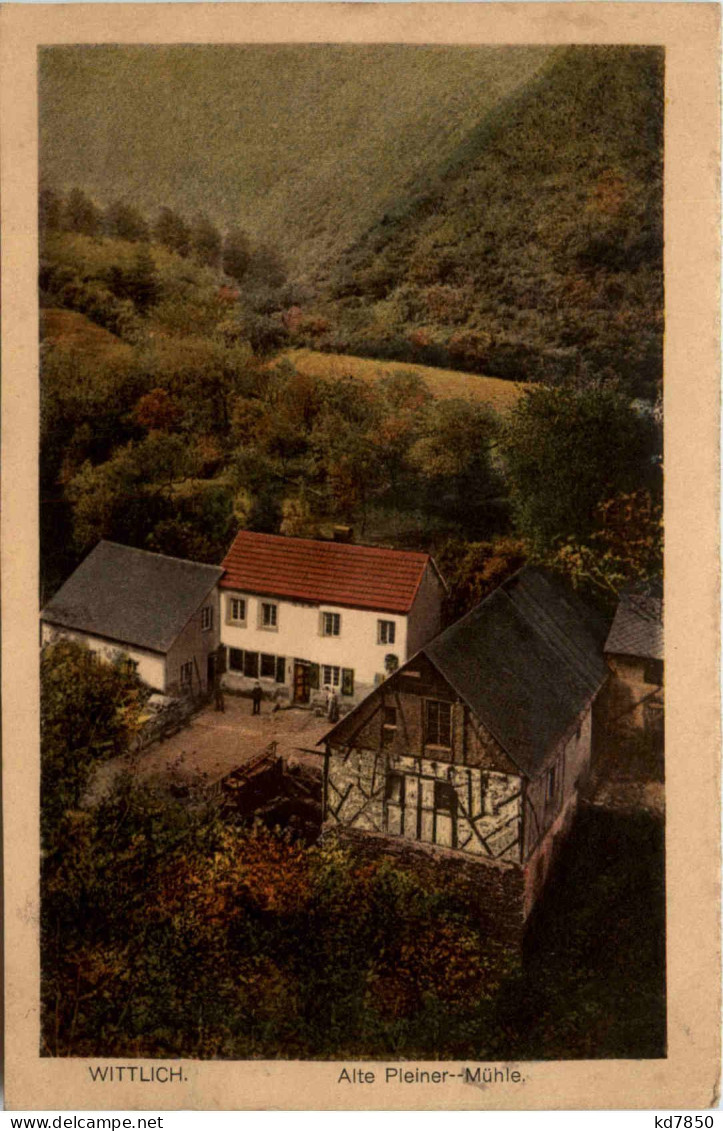 Wittlich, Alte Pleiner-Mühle - Wittlich