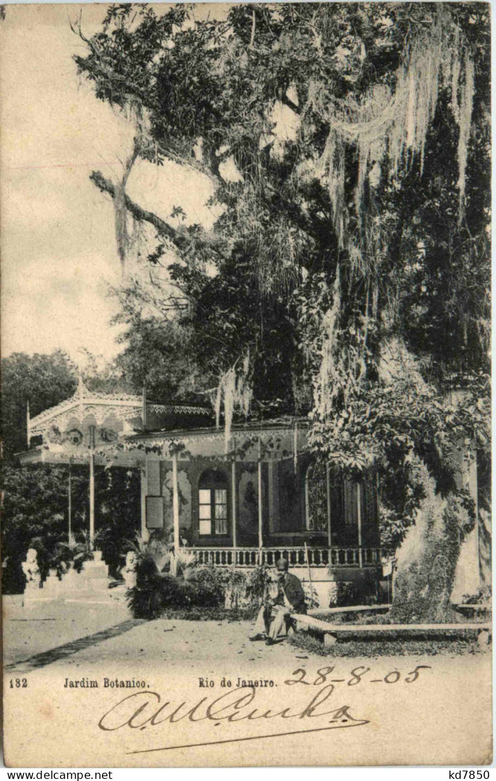 Brasil - Rio De Janeiro - Jardin Botanico - Rio De Janeiro