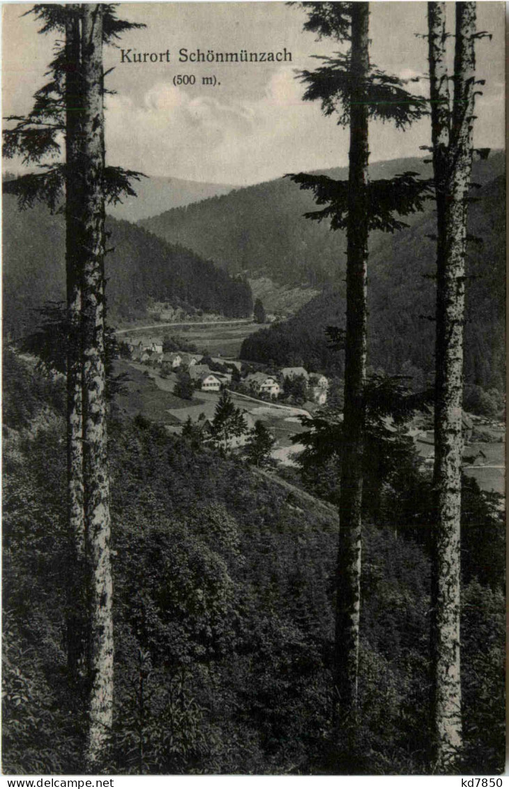 Kurort Schönmünzach - Baiersbronn