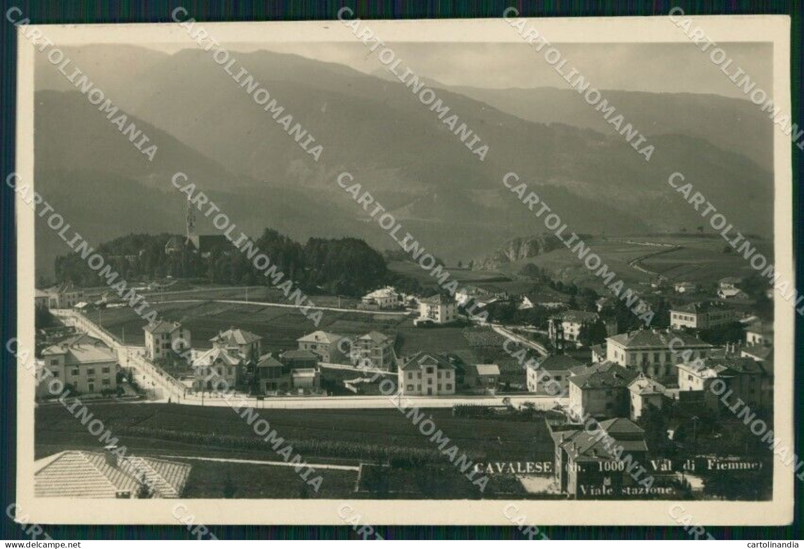 Trento Cavalese Val Di Fiemme Viale Stazione Foto Cartolina VK3990 - Trento