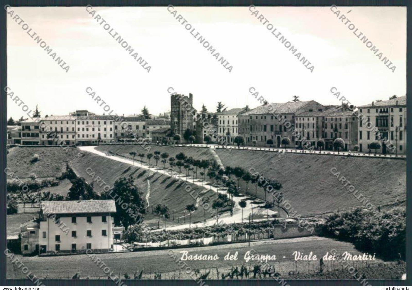 Vicenza Bassano Del Grappa Foto FG Cartolina ZF1605 - Vicenza