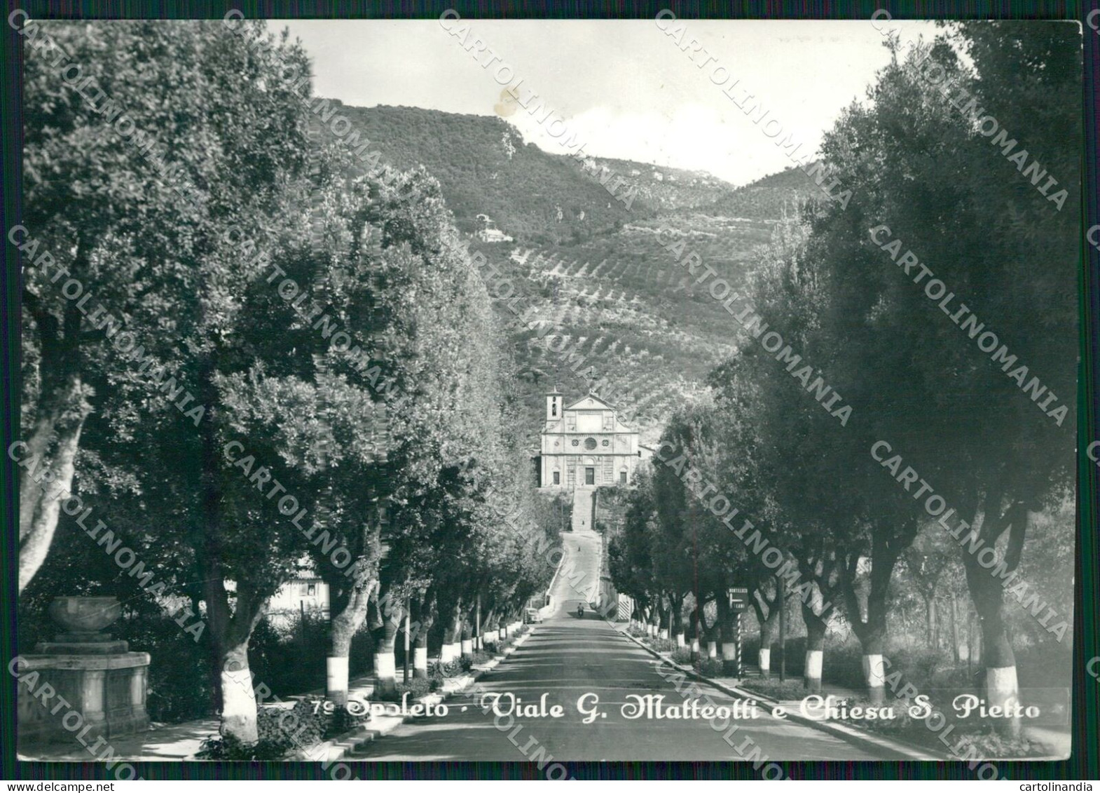 Perugia Spoleto ABRASA FG Foto Cartolina KB4888 - Perugia