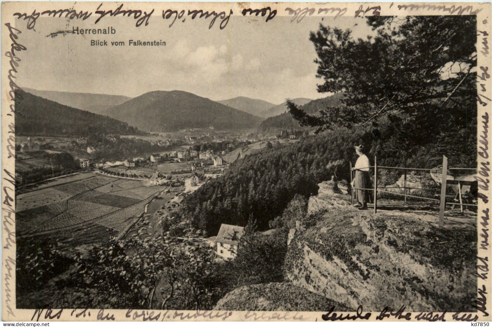 Herrenalb - Blick Vom Falkenstein - Bad Herrenalb