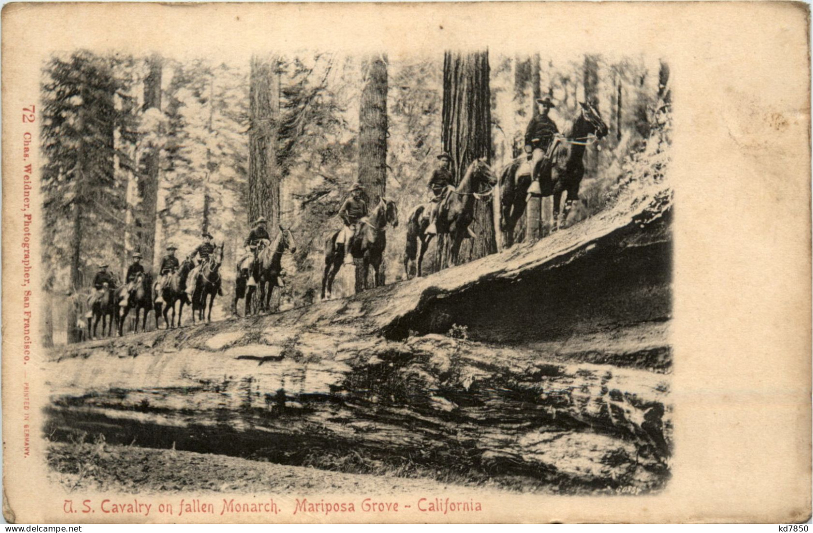 California - Mariposa Grove - US Cavalry - Autres & Non Classés