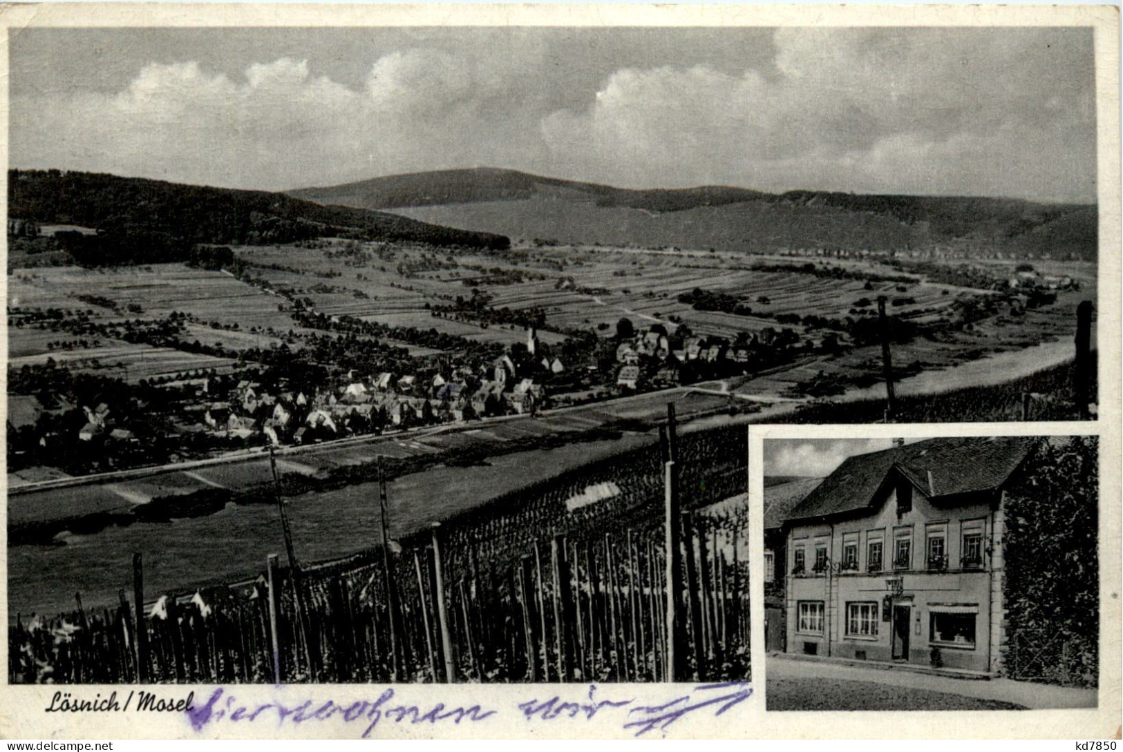 Lösnich - Mosel - Gasthaus - Bernkastel-Kues