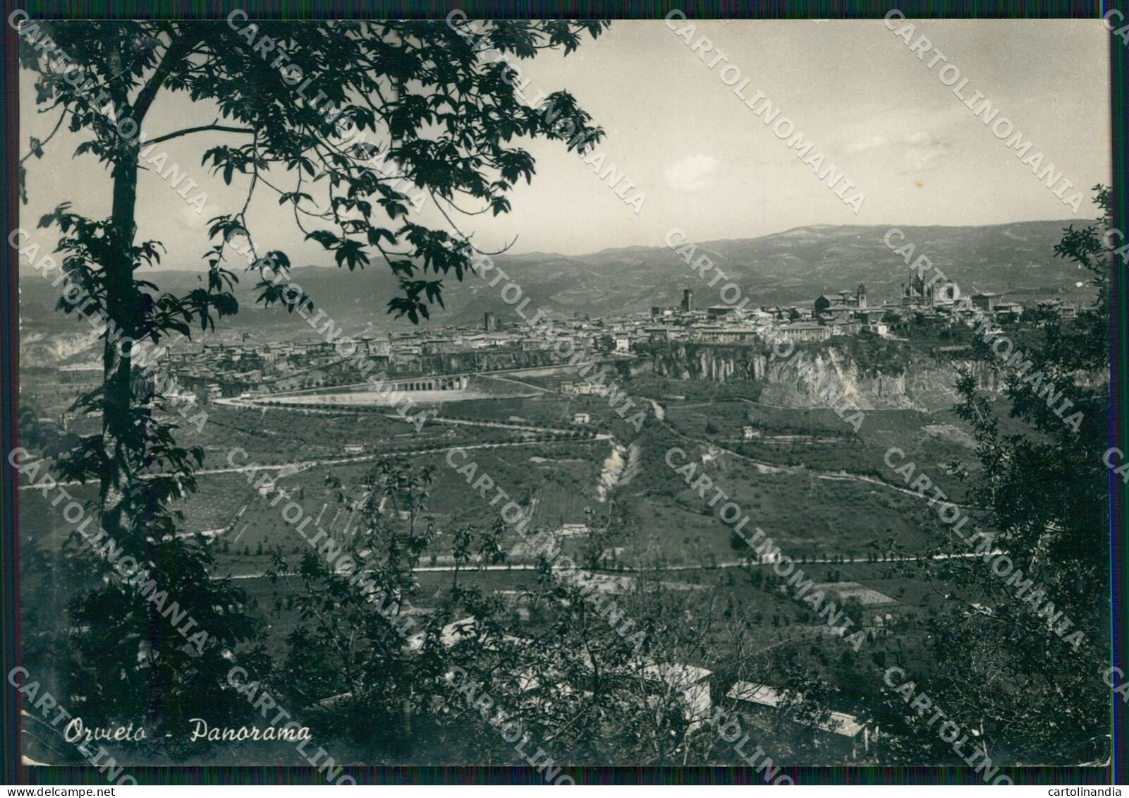 Terni Orvieto PIEGHINE FG Foto Cartolina KB4904 - Terni