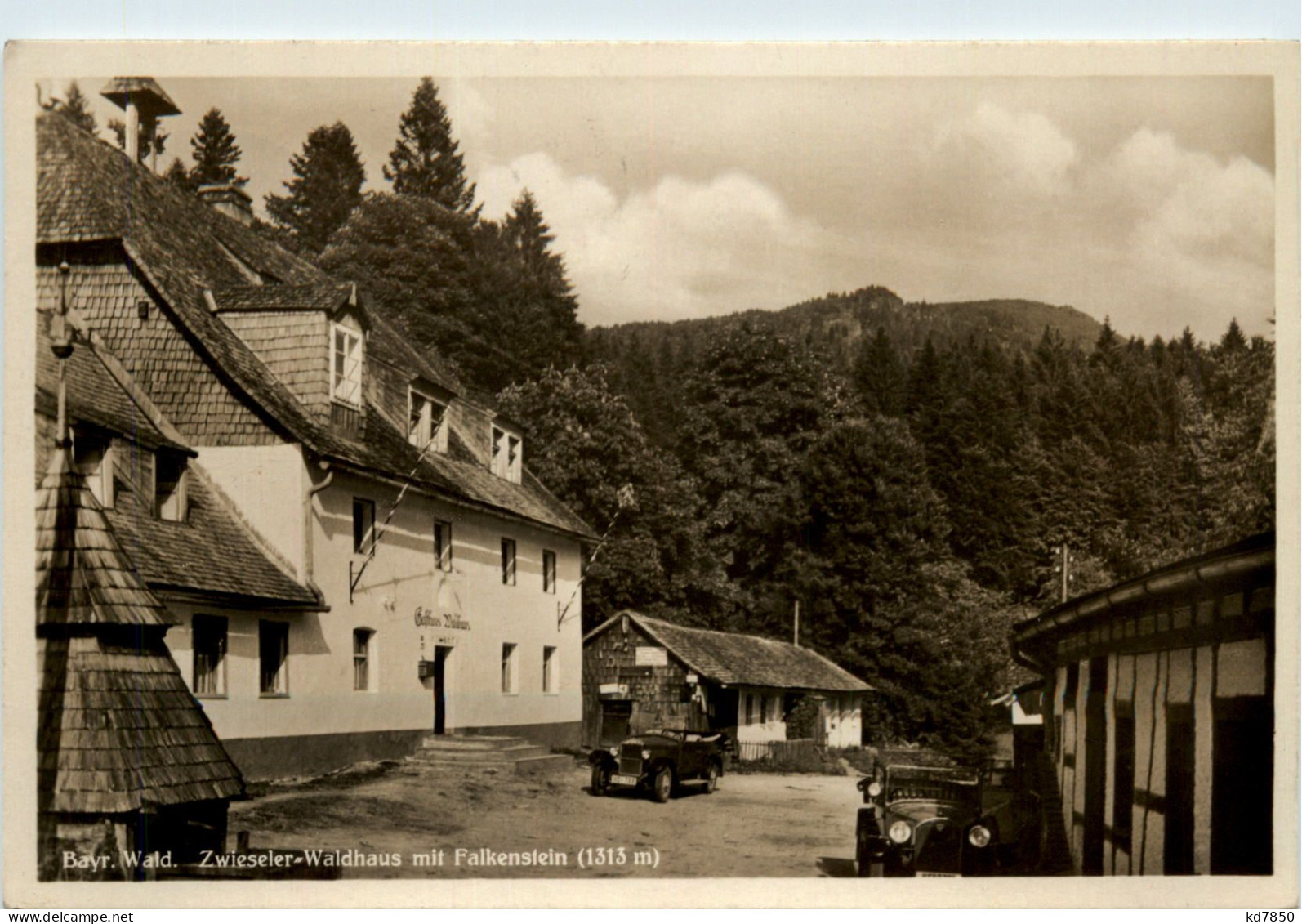 Zwieseler Waldhaus Mit Falkenstein - Zwiesel