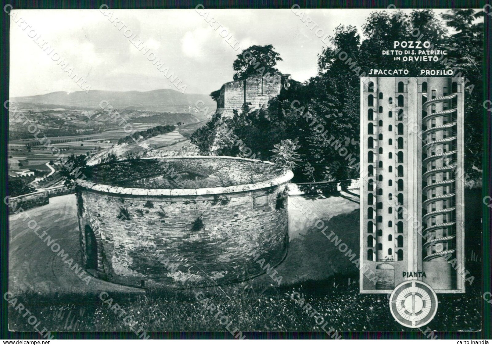 Terni Orvieto Pozzo Di San Patrizio FG Foto Cartolina KB4905 - Terni