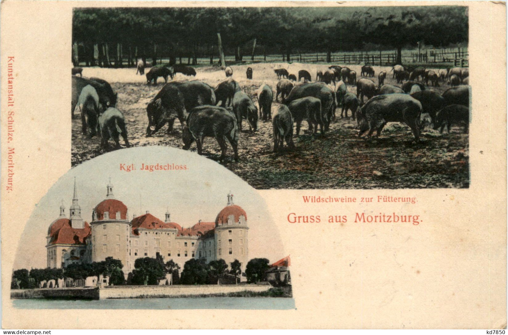 Gruss Aus Moritzburg - Dresden