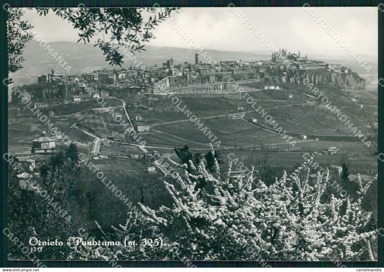 Terni Orvieto FG Foto Cartolina KB4914 - Terni