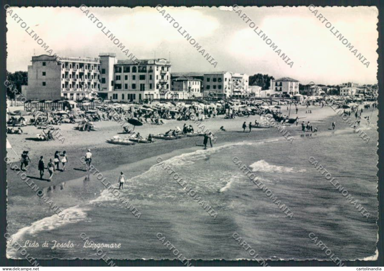 Venezia Jesolo Lido Foto FG Cartolina ZF1062 - Venezia (Venice)