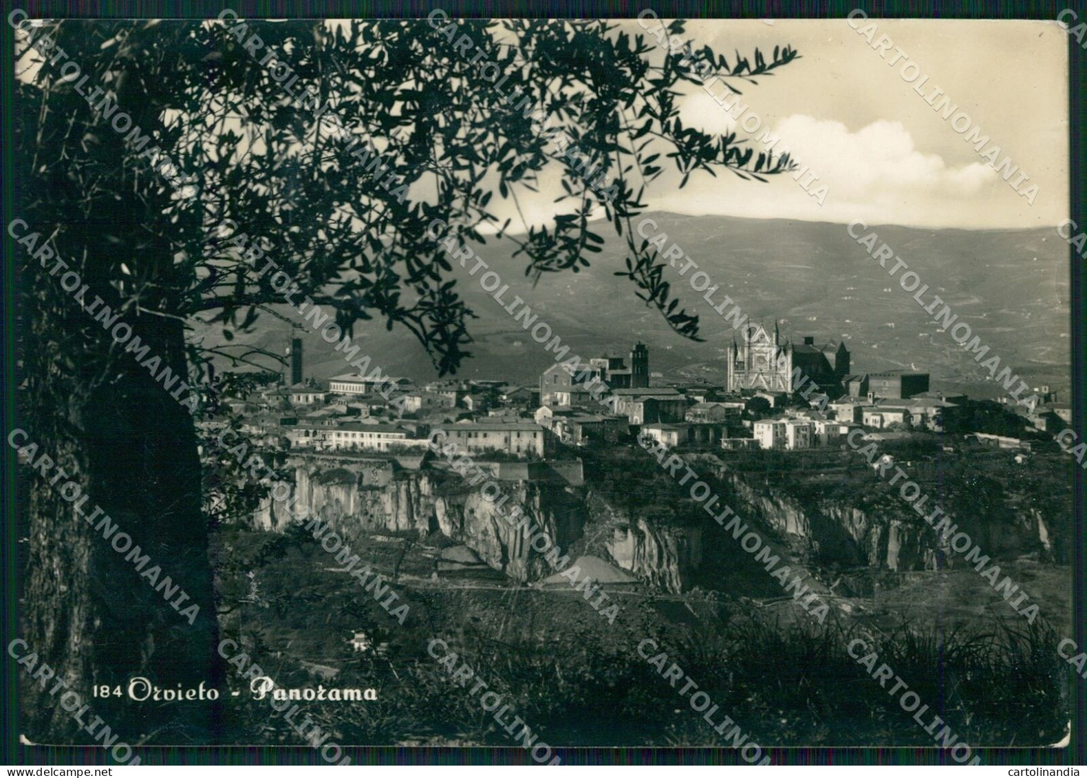 Terni Orvieto FG Foto Cartolina KB4921 - Terni