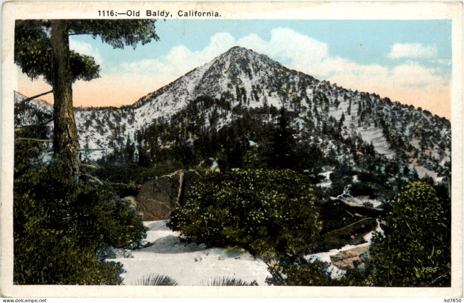 Old Baldy Californina - Other & Unclassified