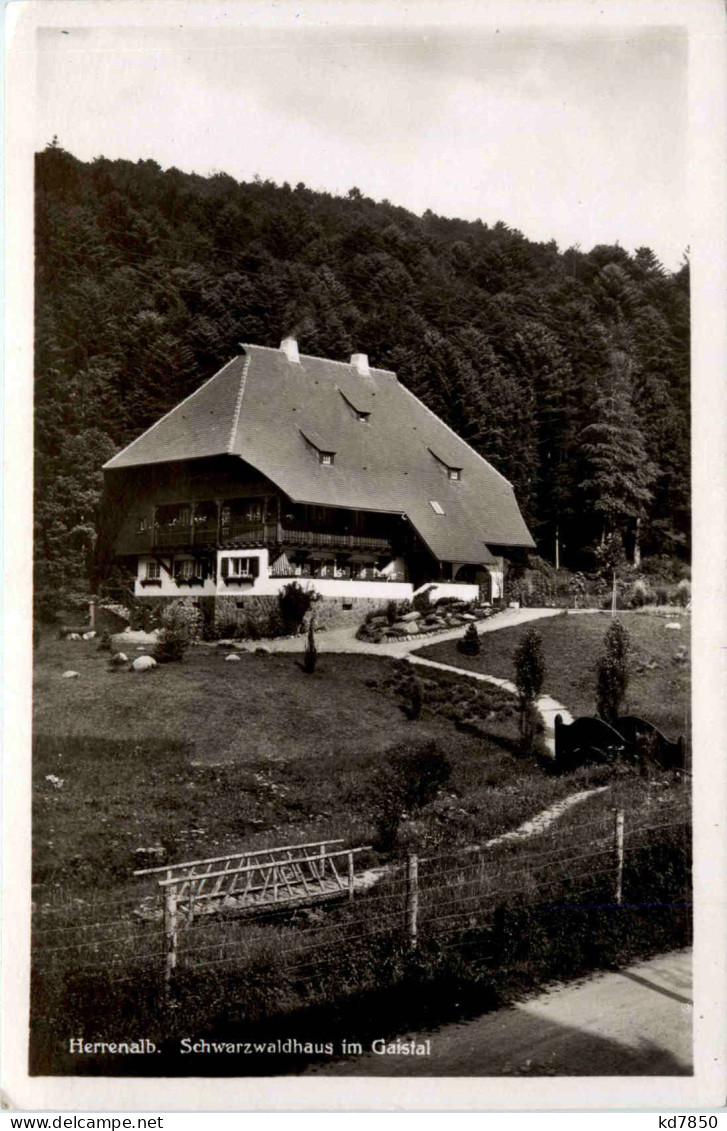 Herrenalb - Schwarzwaldhaus Im Glaistal - Bad Herrenalb