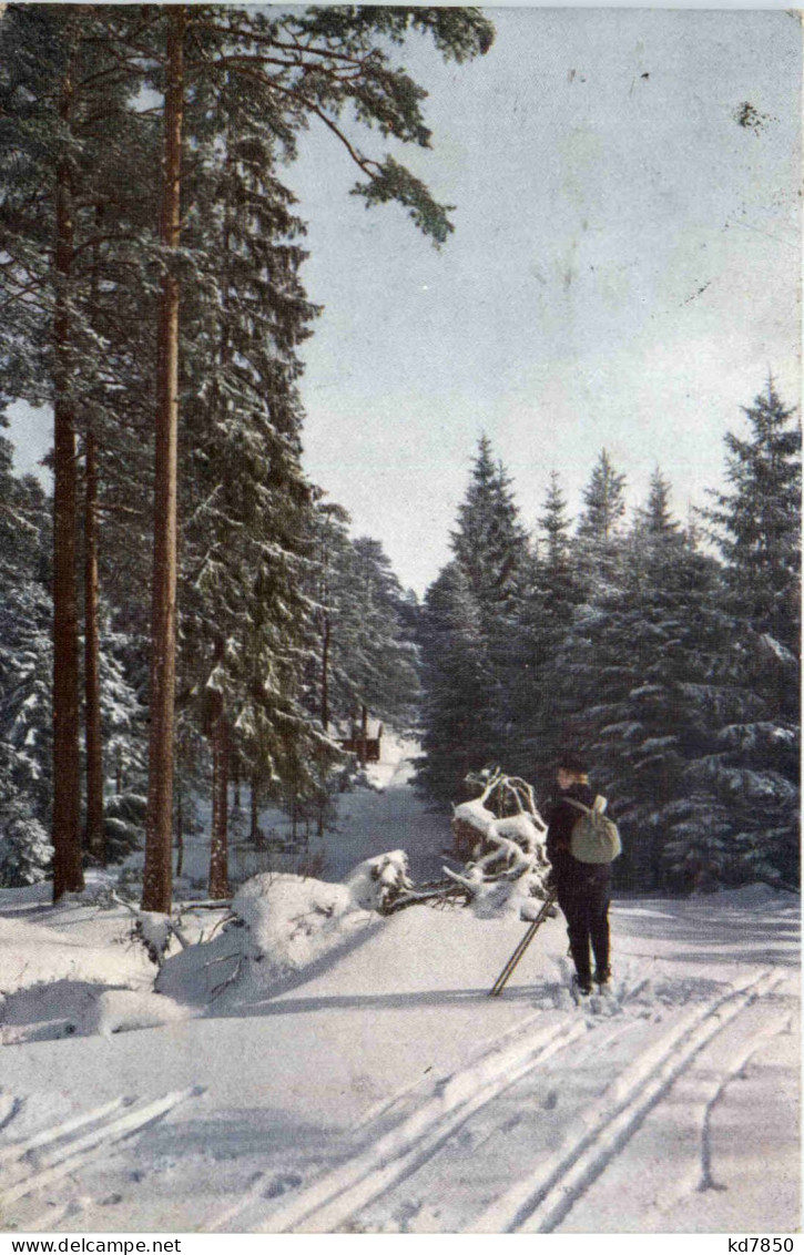 Ski - Deportes De Invierno