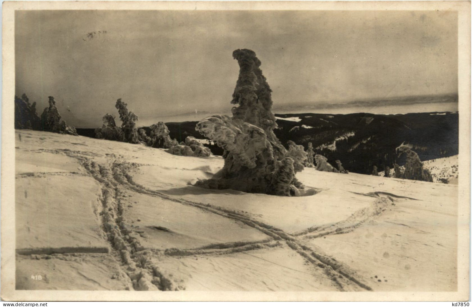 Feldberg - Todtnauer Halde - Feldberg