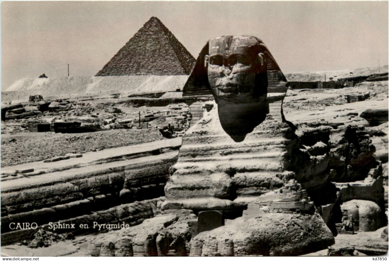 Cairo - Sphinx En Pyramide - Le Caire