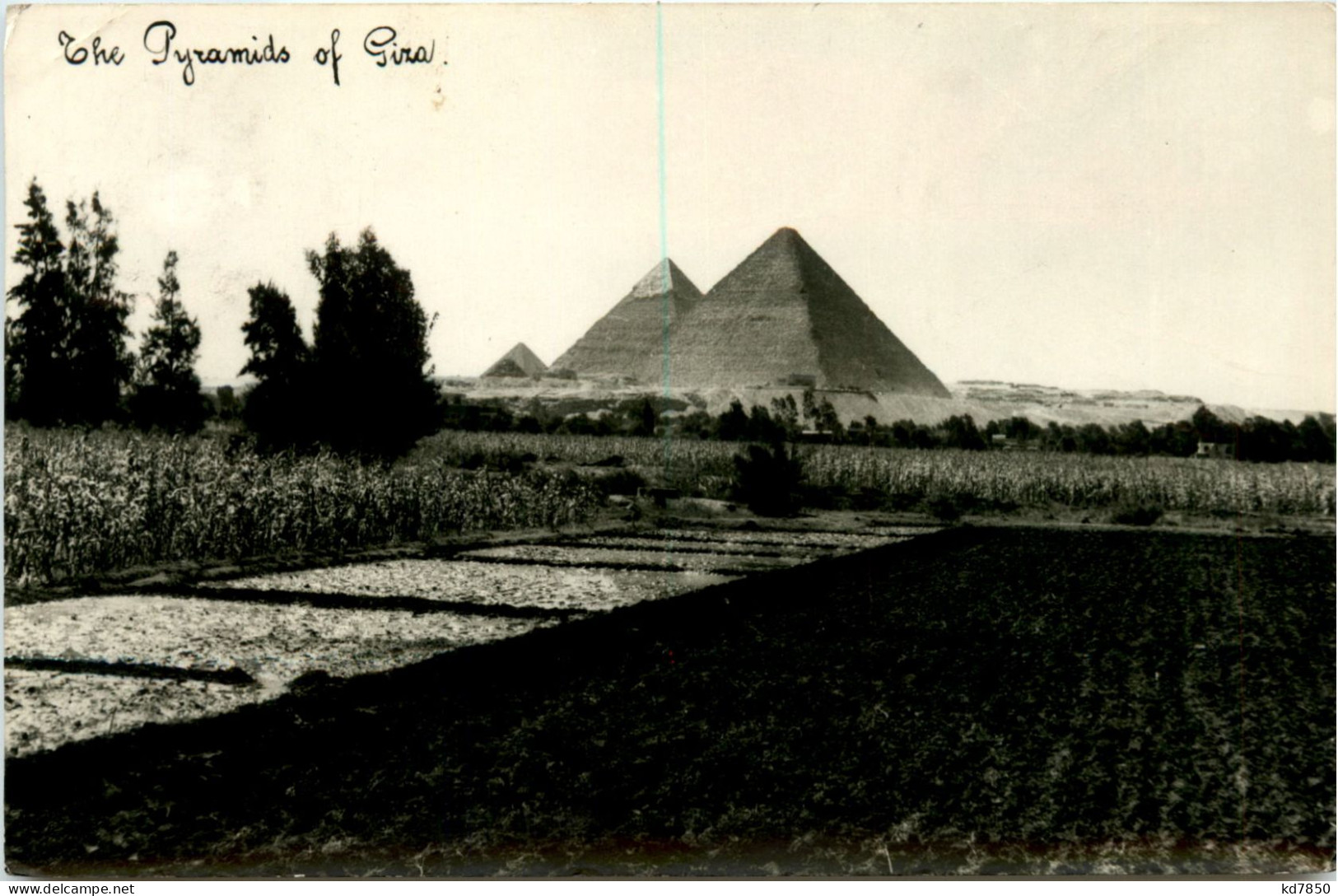 The Pyramids Of Giza - Pyramides