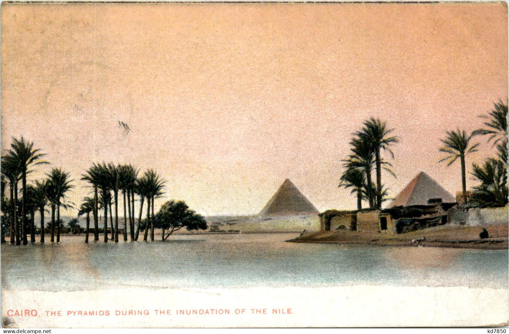 Cairo - The Pyramids - Le Caire