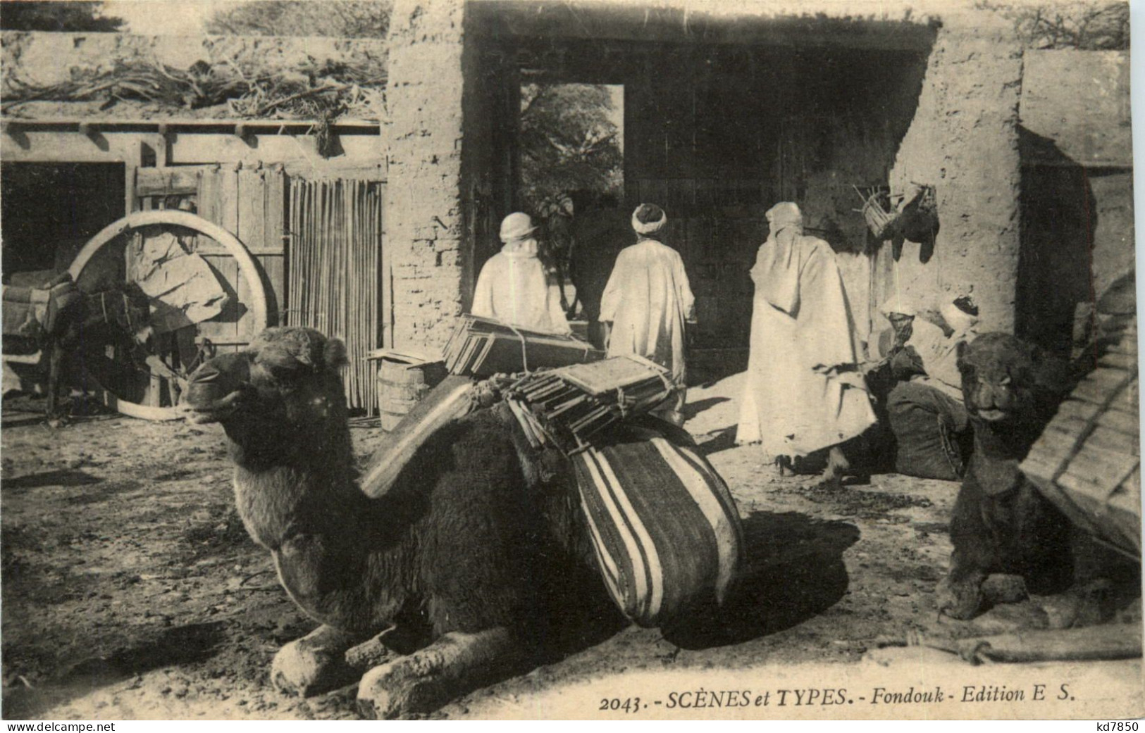 Algerie - Scenes Et Types - Escenas & Tipos