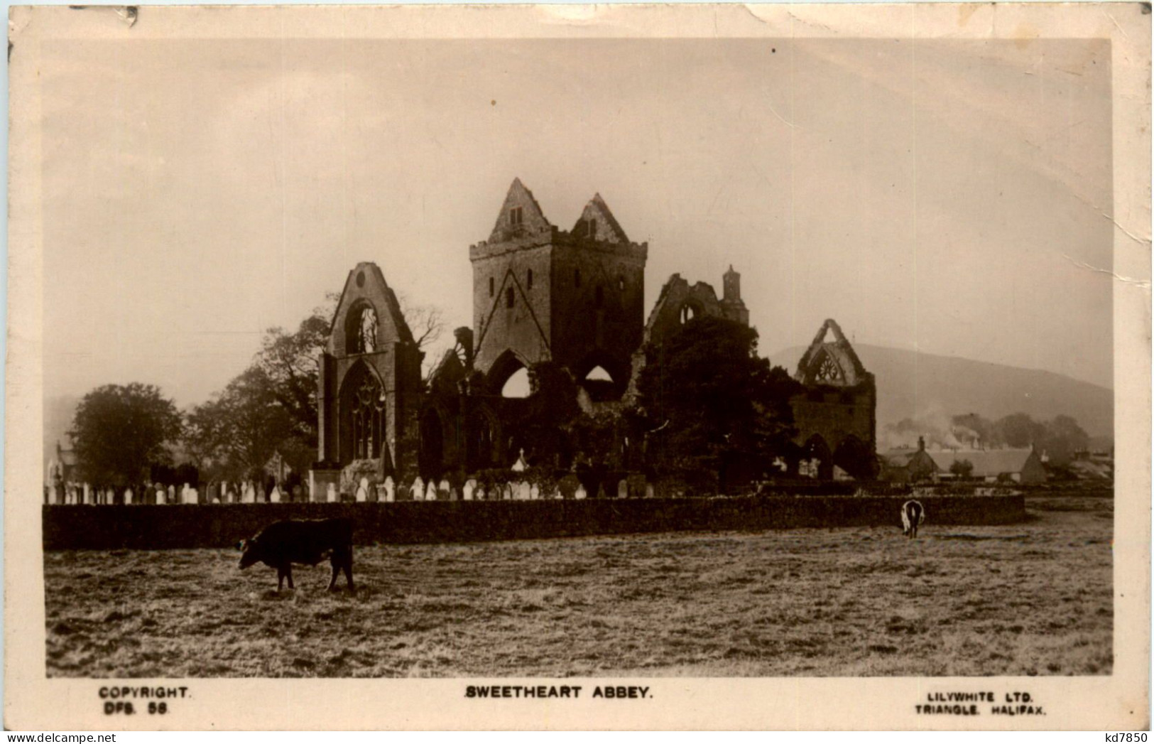 Sweetheart Abbey - Andere & Zonder Classificatie