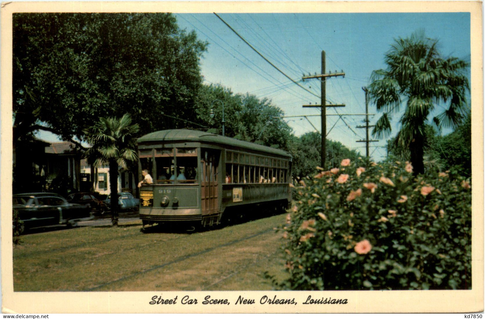 Louisiana - New Orleans - Street Car Scene - New Orleans