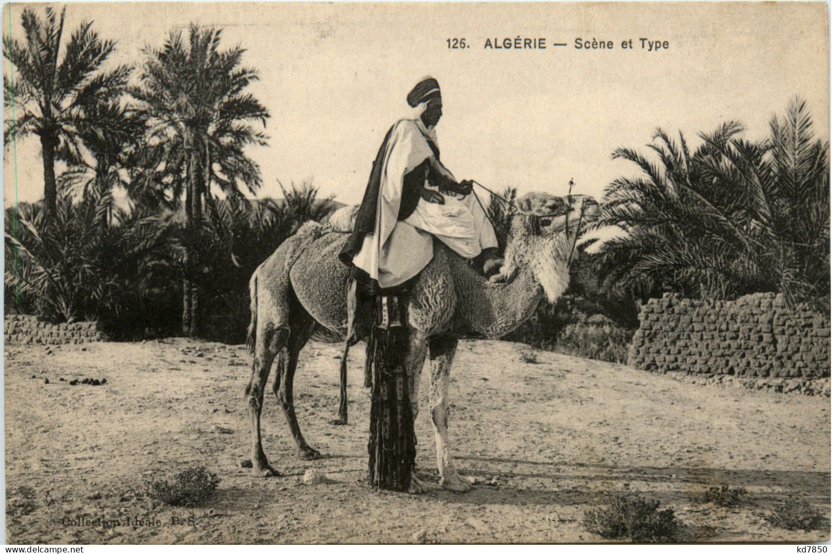 Algerie - Escenas & Tipos