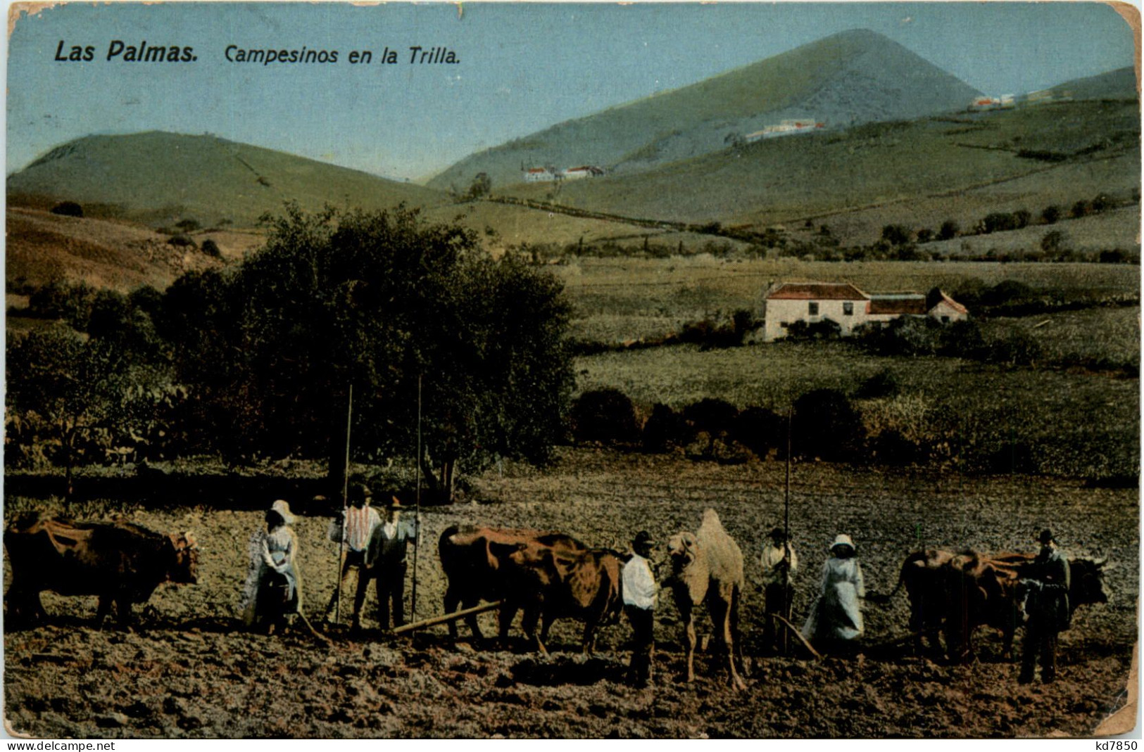 Las Palmas - Campesinos En La Trilla - Gran Canaria