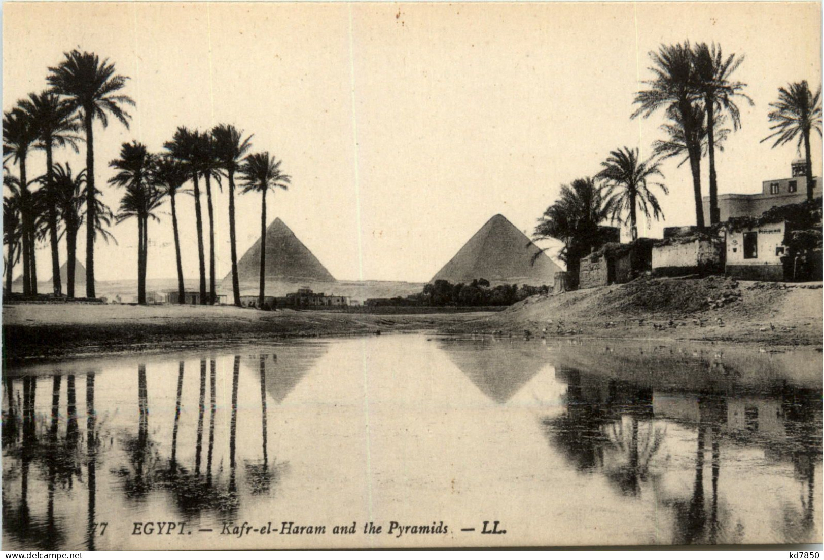 Cairo - Pyramids - Pyramiden