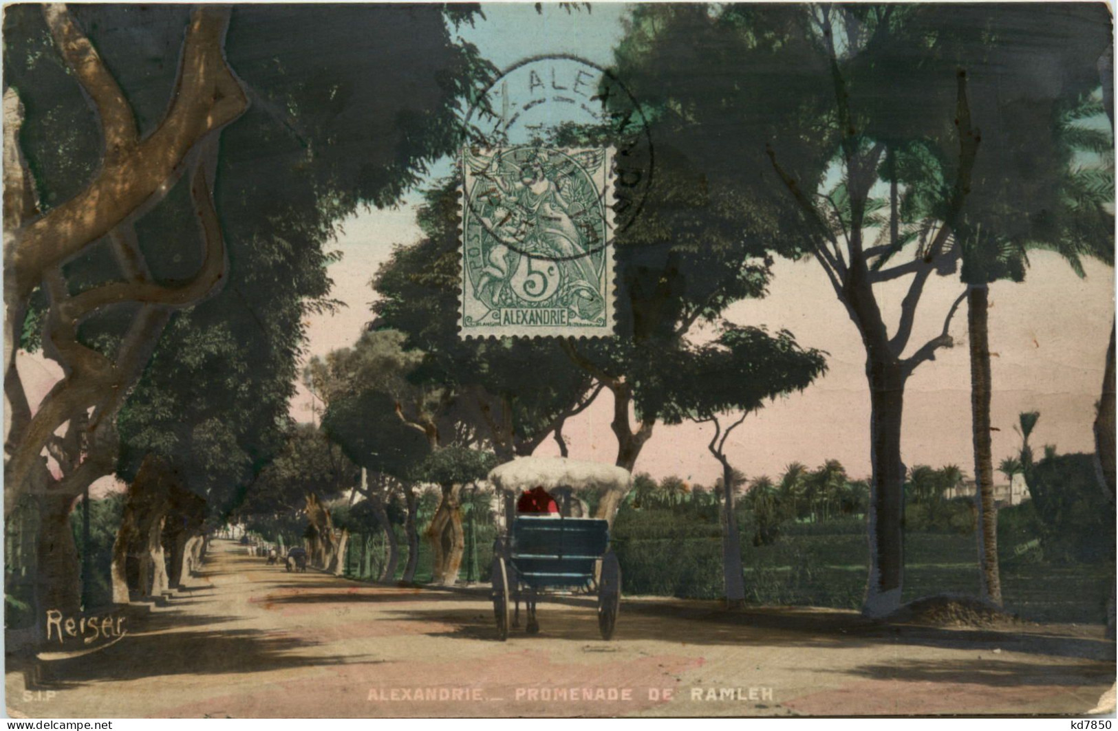 Alexandrie - Promenade De Ramleh - Alexandrie