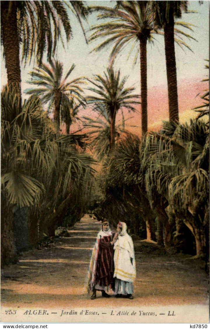 Alger - Jardin D Essai - Algeri