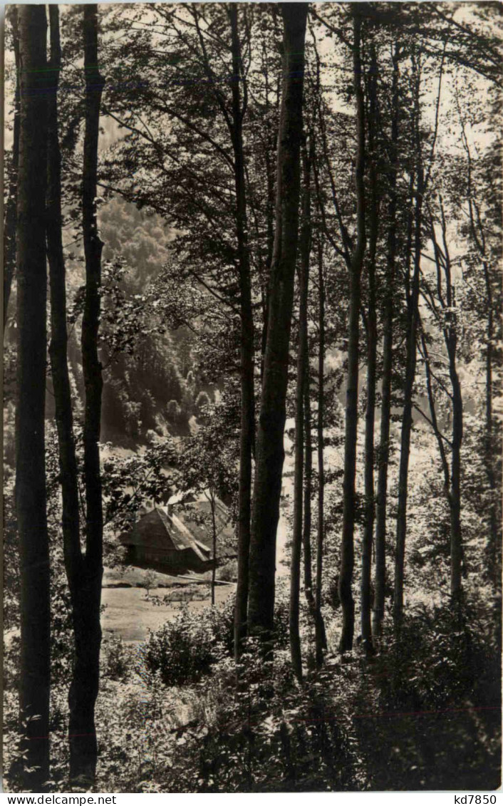 Feldberg Schwarzwald - Wiesental - Feldberg