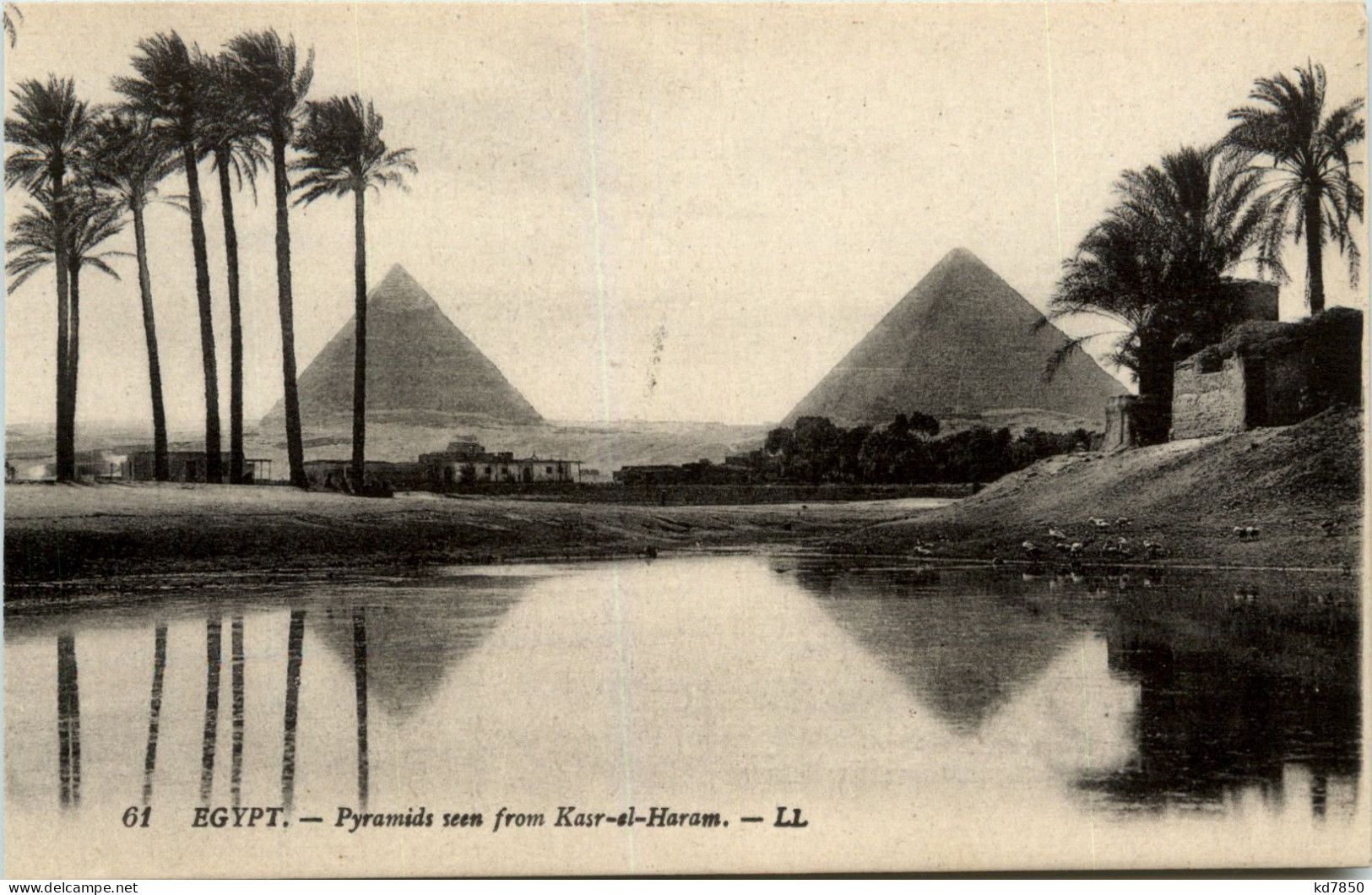 Egypt - Pyramides - Piramiden