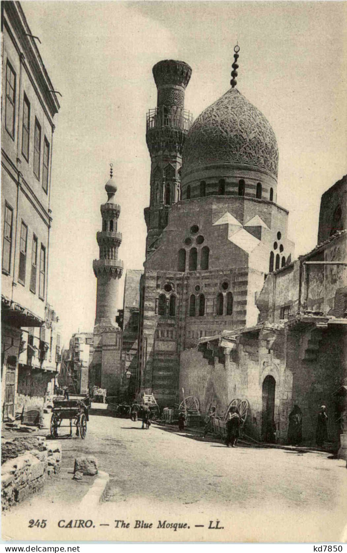 Cairo - The Blue Mosque - Cairo