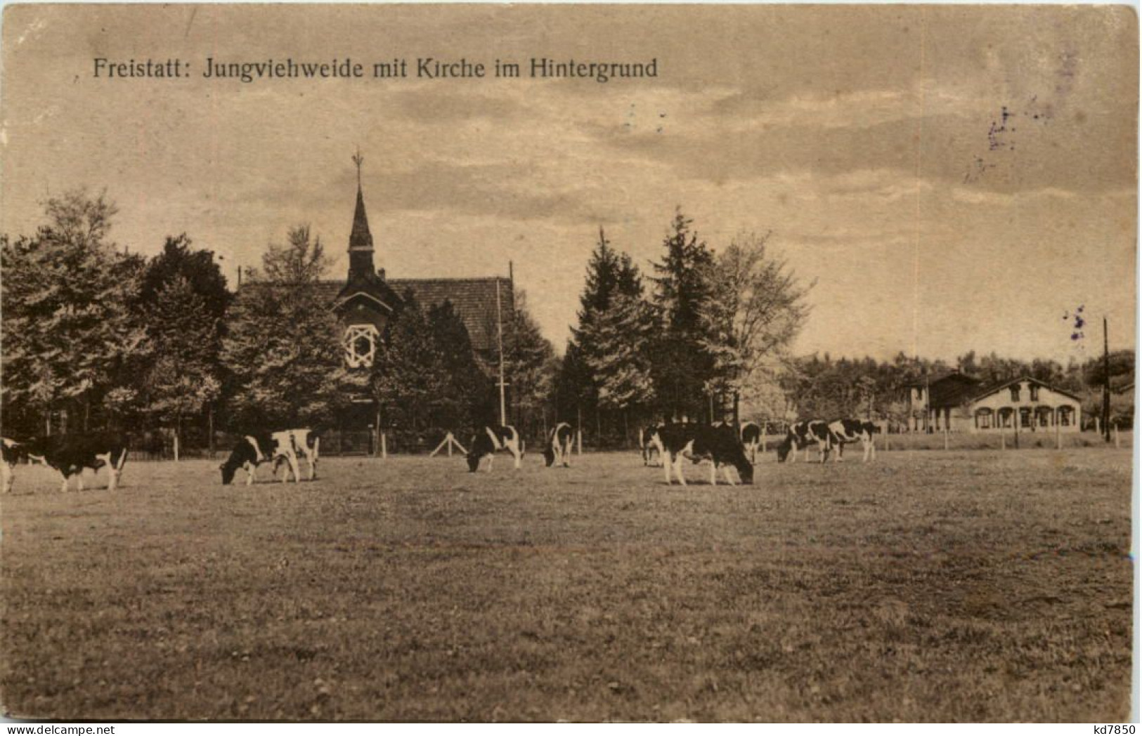 Freistatt - Jungviehweide Mit Kirche - Diepholz