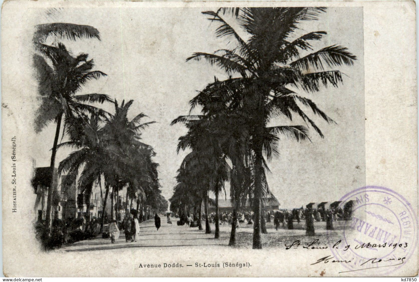 Senegal - Saint Louis - Sénégal