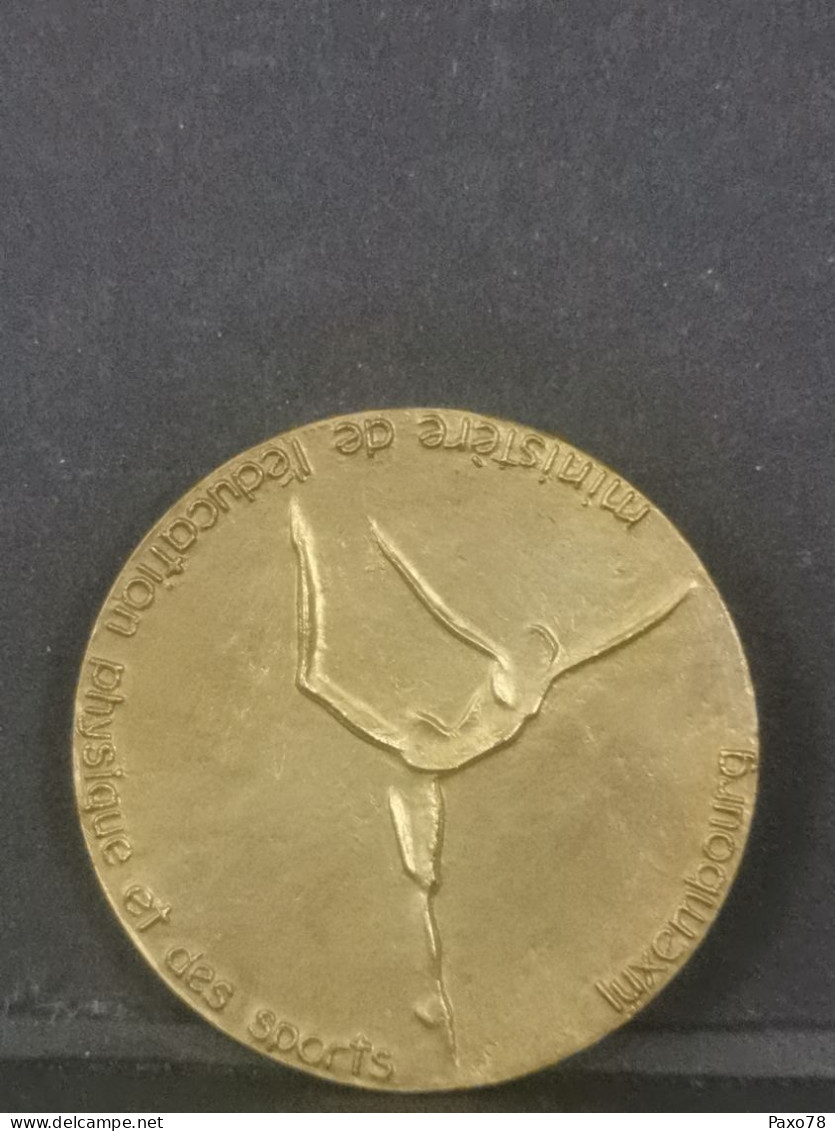 Luxembourg Médaille, Ministère De L'éducation Physique Et Sports, Champion 1983. Natation - Sonstige & Ohne Zuordnung