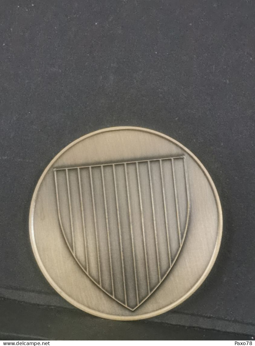 Luxembourg Médaille, Strassen Mérite Culturel 2008 - Andere & Zonder Classificatie