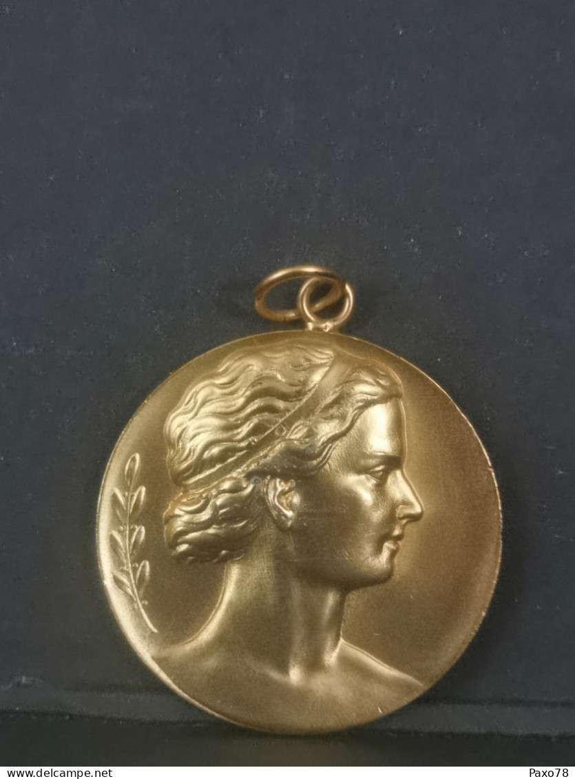 Luxembourg Médaille,  FLNS 1986 - Andere & Zonder Classificatie