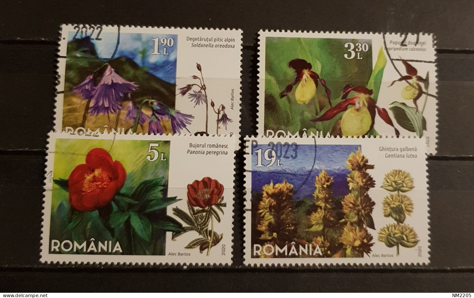 ROMANIA PLANTS GENTIANA LUTEA& PAEONIA PEREGRINA& SOLDANELLA OREODOXA SET CTO-USED - Usado