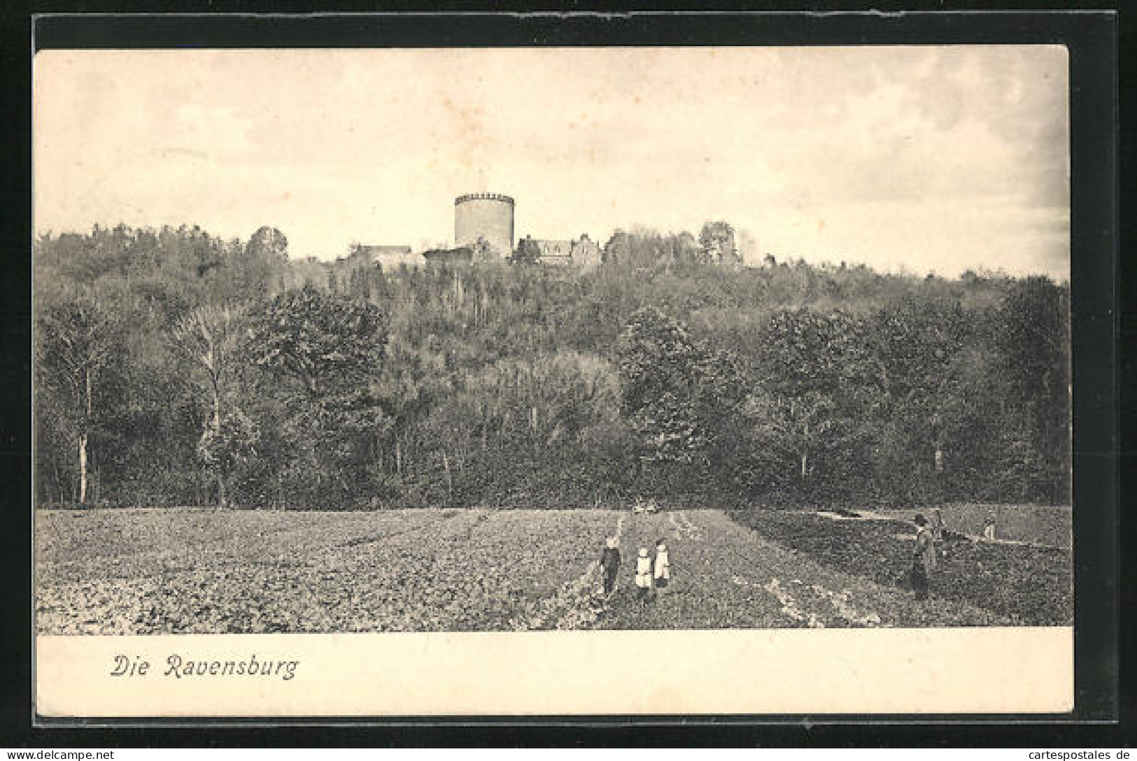 AK Borgholzhausen, Blick Auf Die Ravensburg  - Altri & Non Classificati