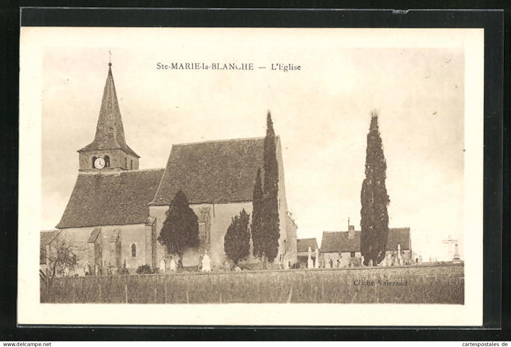 CPA Ste-Marie-la-Blanche, L`Eglise  - Other & Unclassified