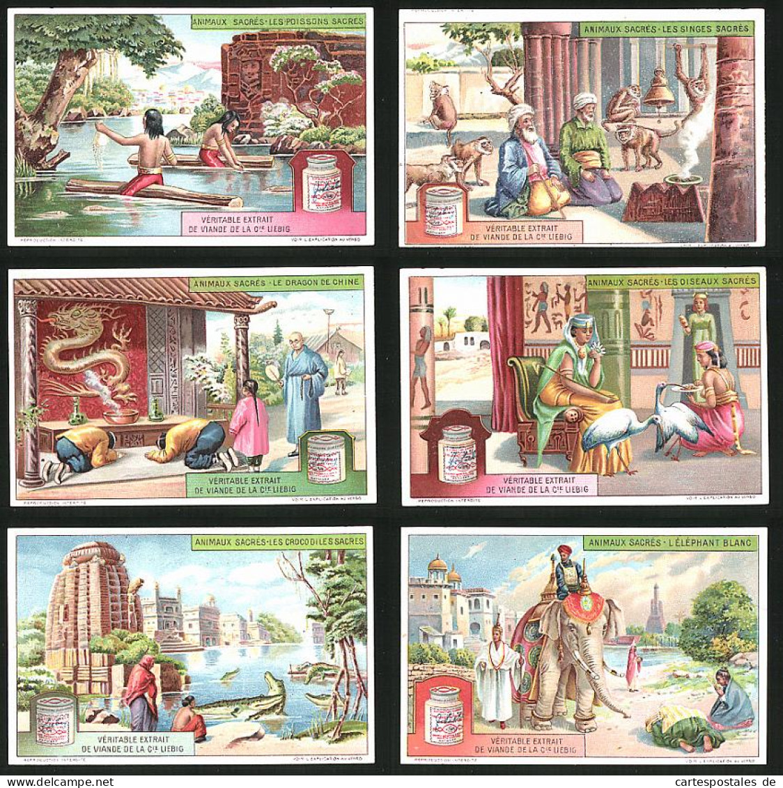 6 Sammelbilder Liebig, Serie Nr.: 1134, Animaux Sacrés, Elephant, Croco, Dragon, Affen, Schlangen, Oiseaux  - Liebig