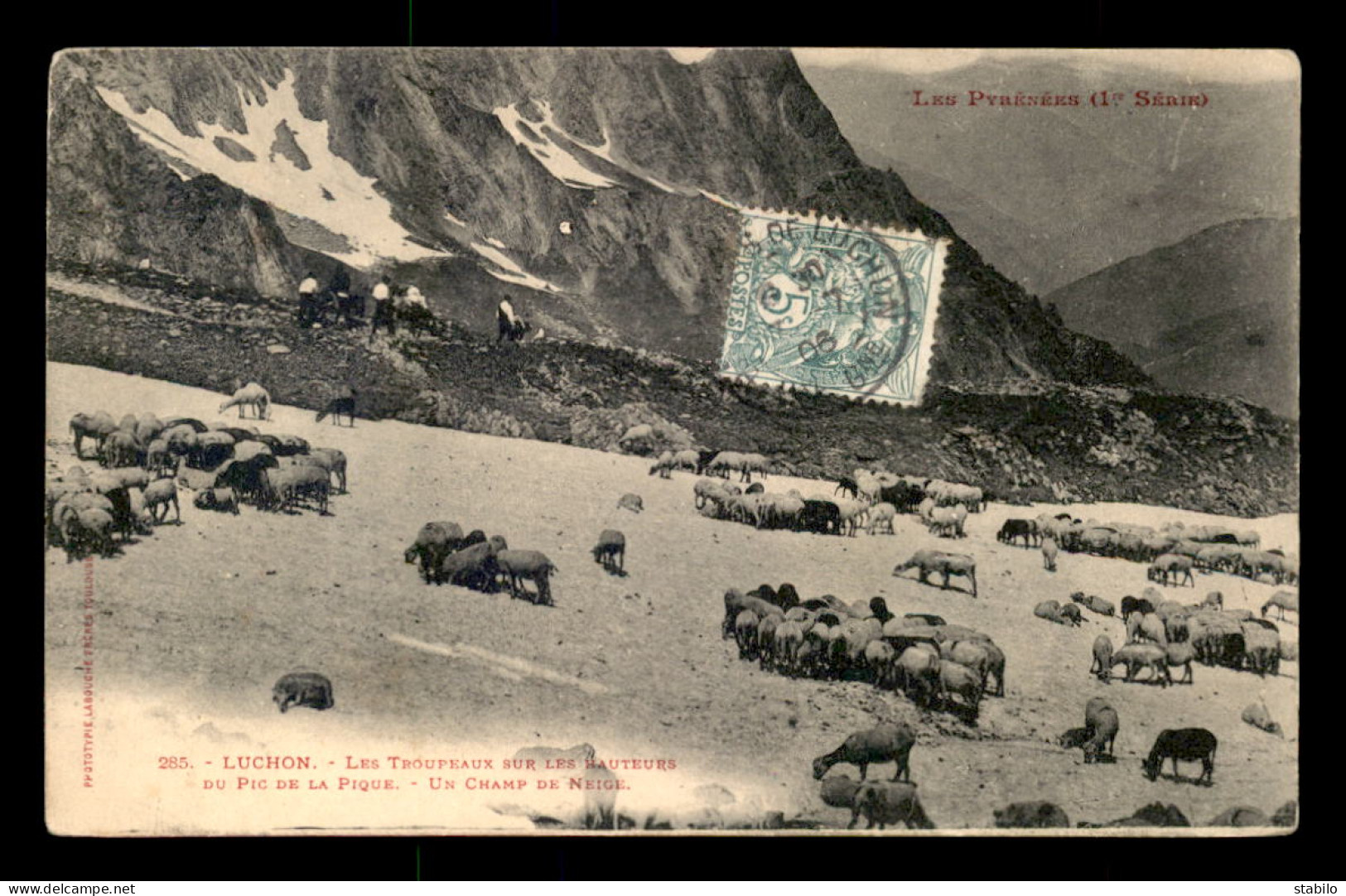 31 - LUCHON - LES TROUPEAUX SUR LES HAUTEURS DU PIC DE LA PIQUE - UN CHAMP DE NEIGE - Luchon