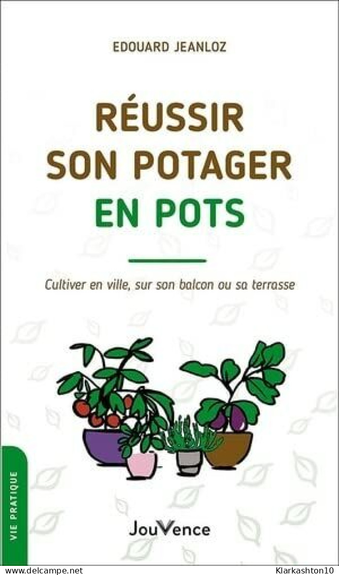 Réussir Son Potager En Pots: Cultiver En Ville Sur Son Balcon Ou Sa Terrasse - Autres & Non Classés