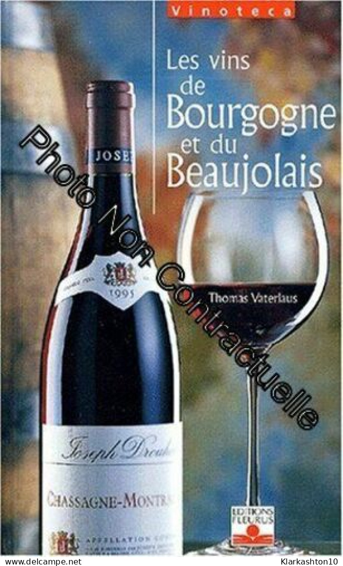 Les Vins De Bourgogne Et De Beaujolais - Autres & Non Classés